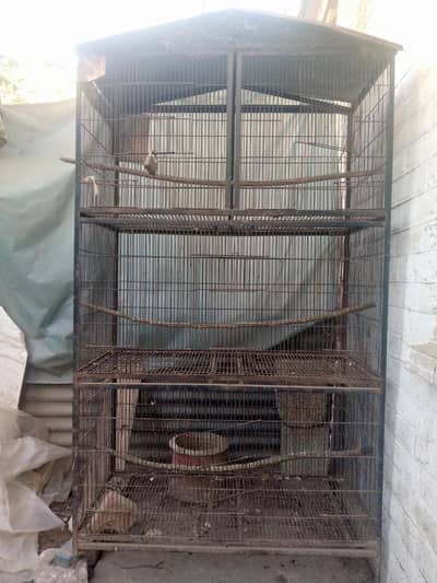 cage for parrots and hens