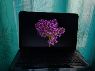 HP PAVILION LAPTOP