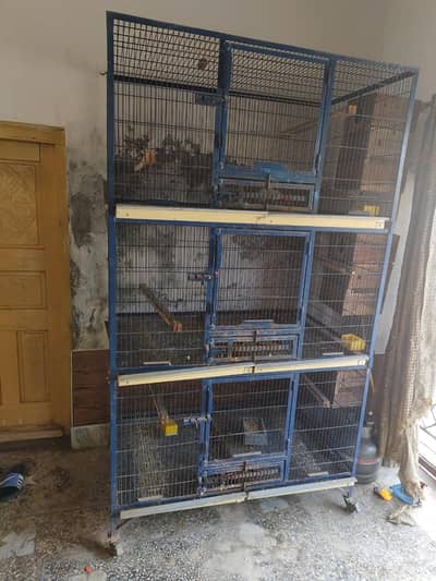 Cages for Canoures Ring Necks Lorry