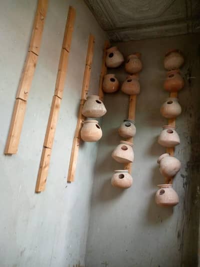 birds matki & dressing table