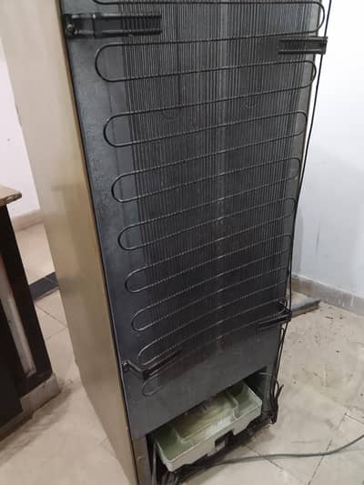 Dowlance urgent Sale