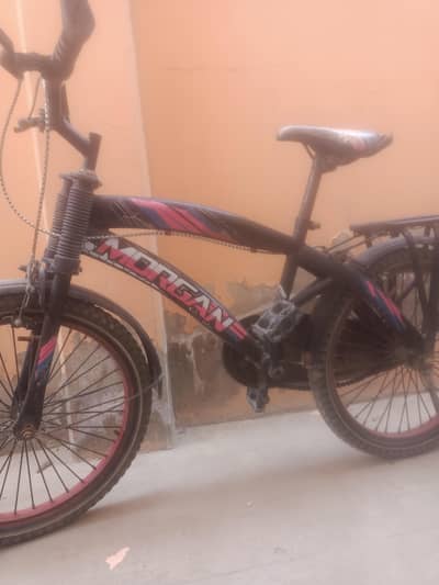best quality two cycle for sale