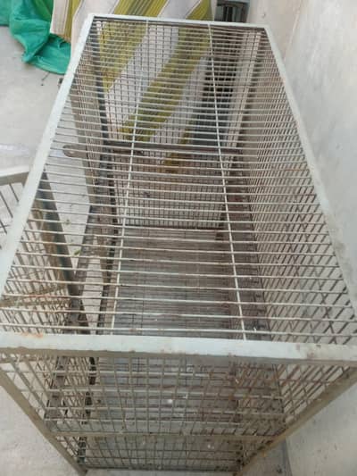 cage 4 sale
