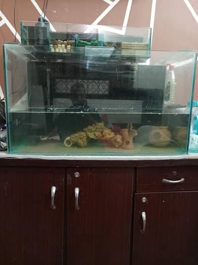 3 feet Fish Tank