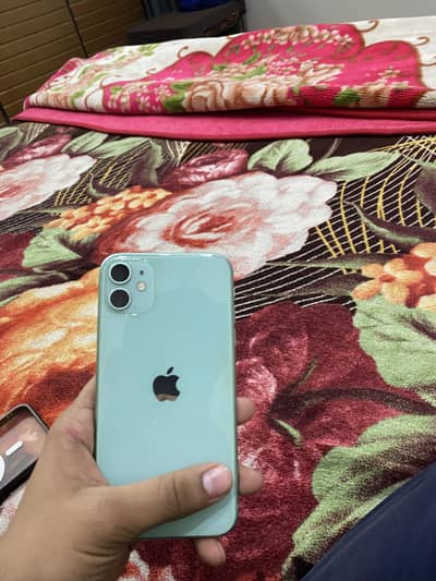 iPhone 11 pta approved dual physical