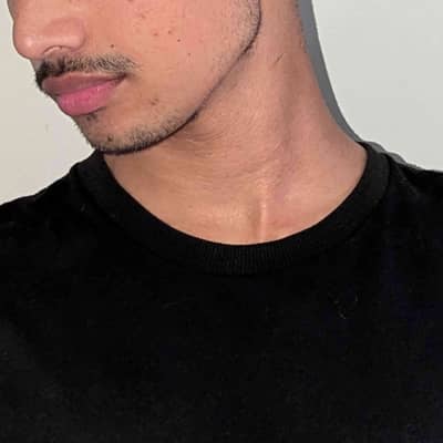 M Taimoor Zahid