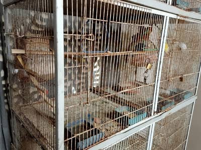 8 portion cage for sale