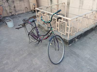 china bicycle