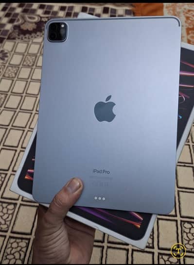 ipad pro m2 chip 256 11 inch wifi