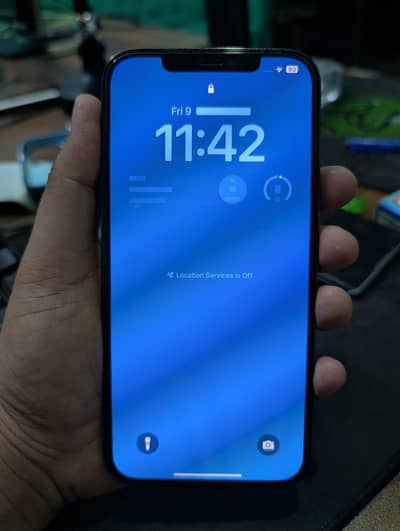 12 Pro Max 256 Gb Pta Approved