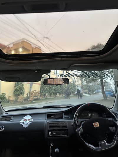 Dolphin ferio model (03164414298)