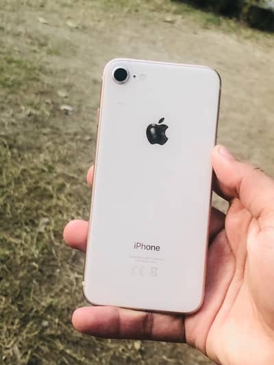 iphone 8 non pta 64GB