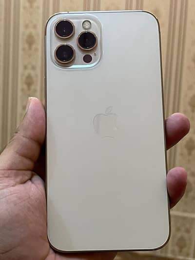 iphone 12 pro max PTA Approve