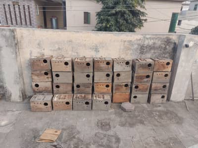 Breeding boxes for sale