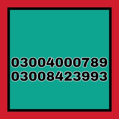 Separate Lower Portion for Rent in Amir Town Trust School Harbanspura