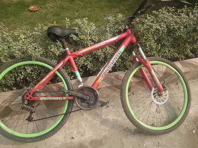 Continental Sports Bicycle