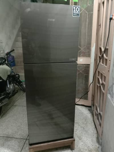 Fridge Medium Hair