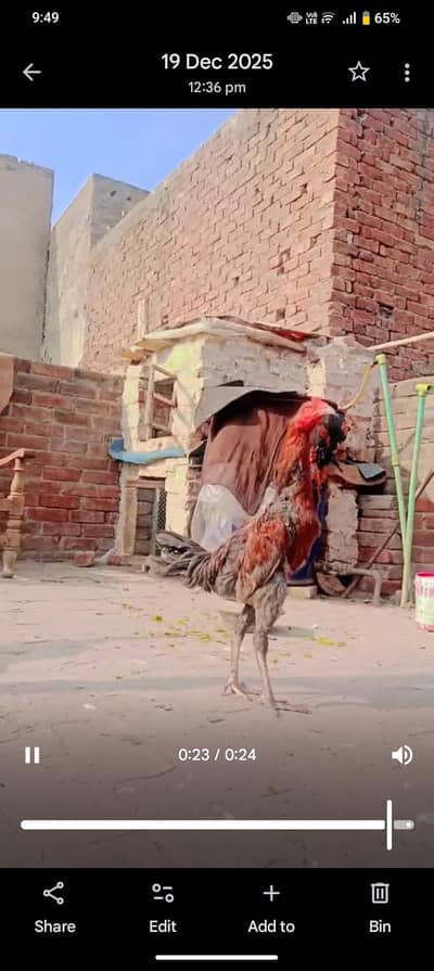 walati path for sale  argently