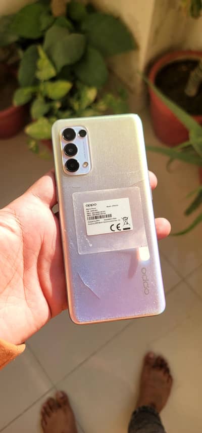 Oppo Reno 5 multiple colour 8/128 Gb
