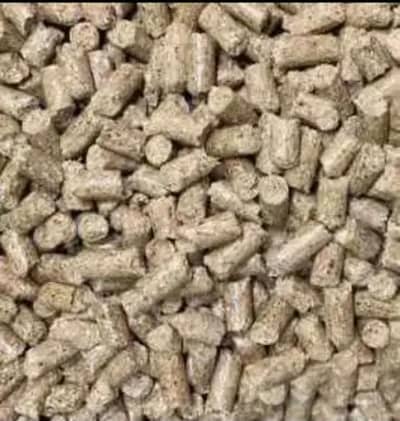 rabbit feed / Rabbit Feed / Rabbit food