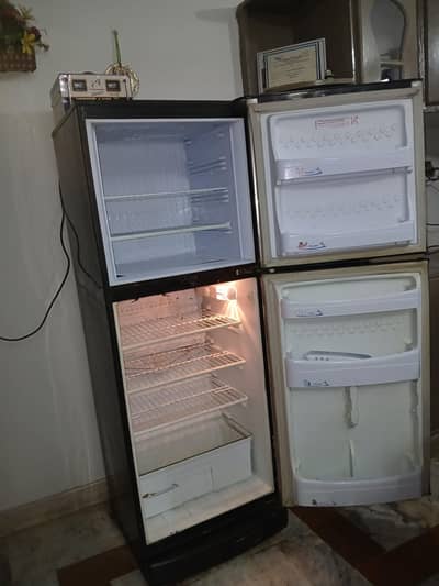 2 door, PEL Medim sized refrigerator, capacity for 6 person