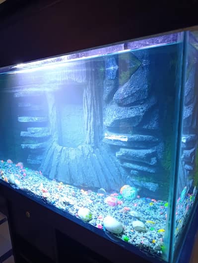3D Aquarium