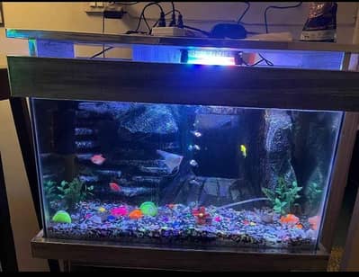 askari 5 Rawalpindi sacem 3