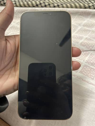 Iphone 12 Pro Max PTA