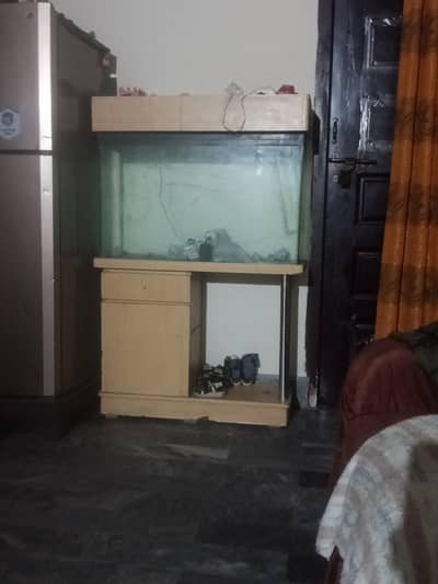 Fish Aquariums