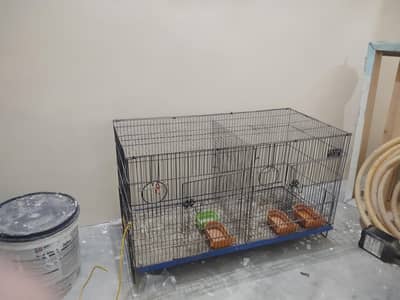 Need And Cleen Condition pinjra.