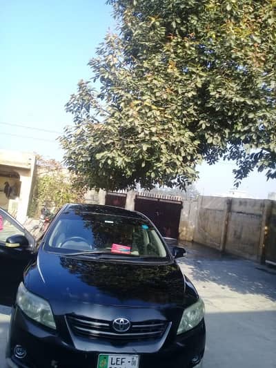 Toyota Corolla xli 2008 modl