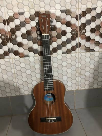 ukelel guitar
