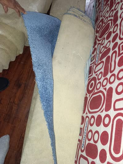 Blue Home Carpet 17x16