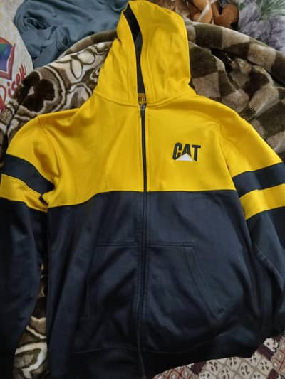 Yellow Cat Upper