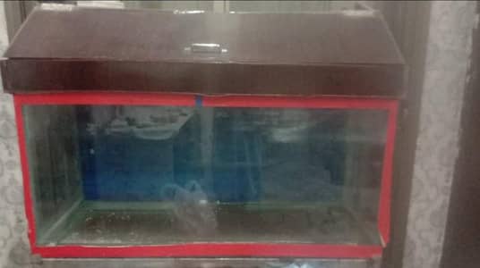 Beautiful Aquarium cleaning and decoration tools