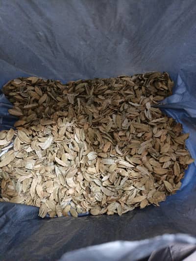 Green Ilaichi chilka available for sale