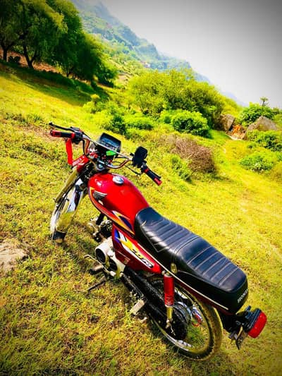 safari bike