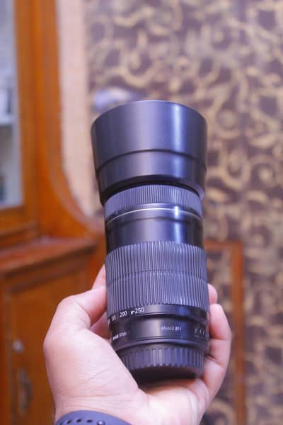 Canon 55 250mm stm lens