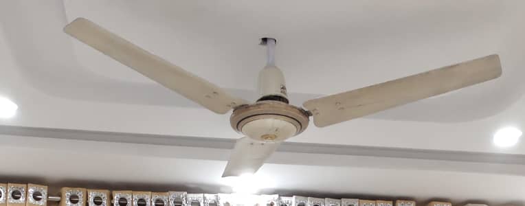 pak ceiling fans