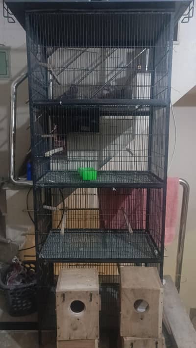 Angle Cage 4 Portion 10 Number Heavy Duty Wire