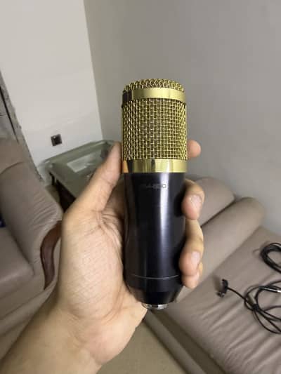 BM-800 Condenser Mic with Phantom Power & Pop Filter - Good Condition