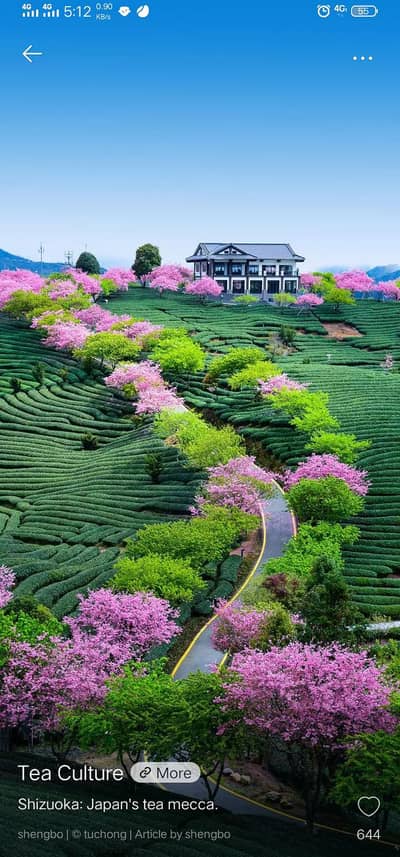 Need a driver for Yango / Indrive