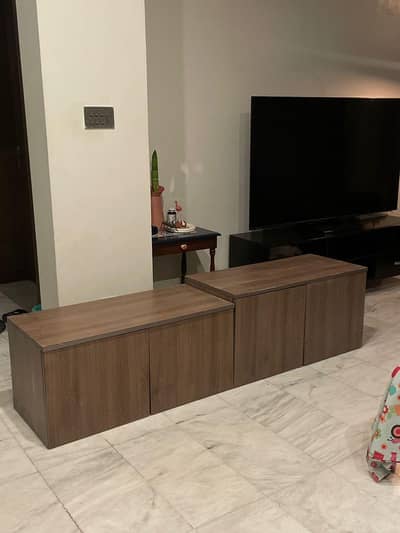 Console table with Cabinets - Minimalist Sleek design