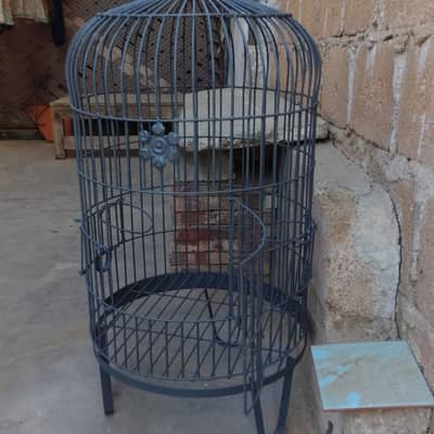 cage for raw parrot