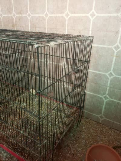 Cage for sale