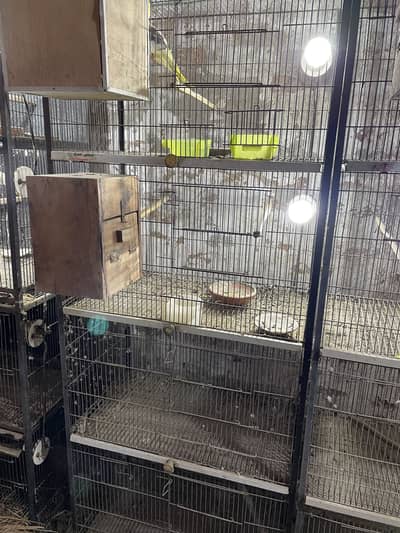 Birds cages for sale 3 durable metal cages