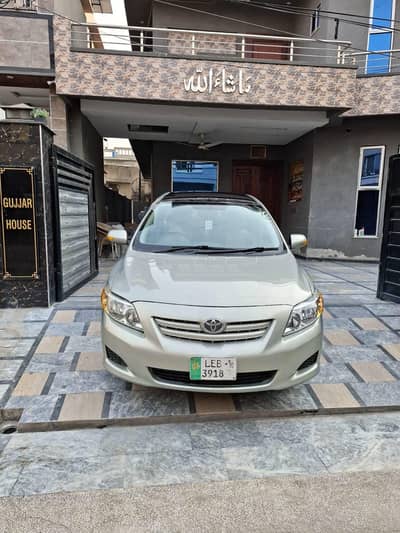 Glii 2010 champagne green color