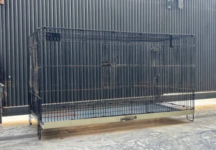 Birds Cage/Pinjara