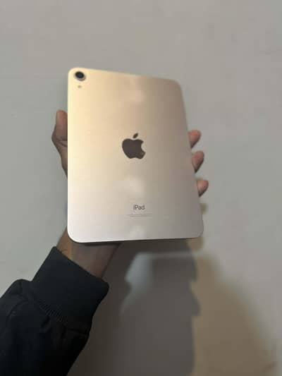 IPAD MINI 6. WITH BOX AND CHARGER