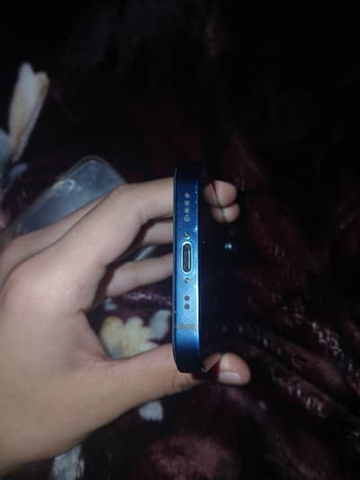 Apple iPhone 12 mini